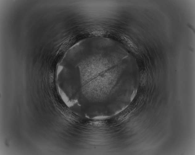 X0000097490365200803201536