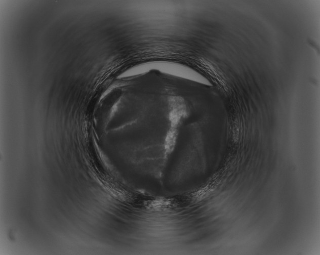 X0000097490366200803201536