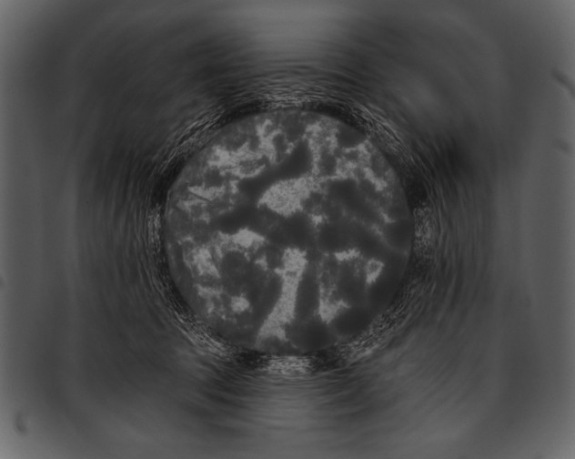 X0000097490369200803201536