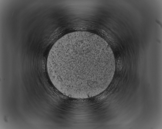 X0000097490370200803201536