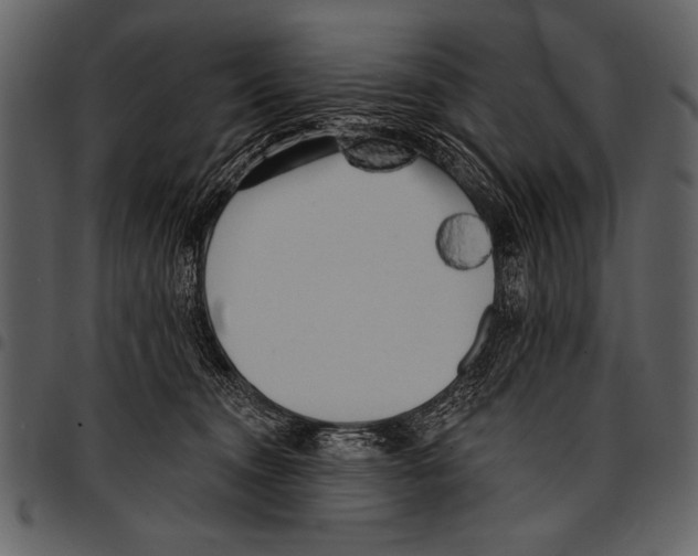 X0000097490372200803201536