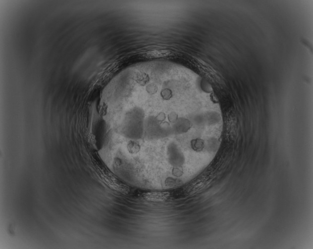 X0000097490373200803201536