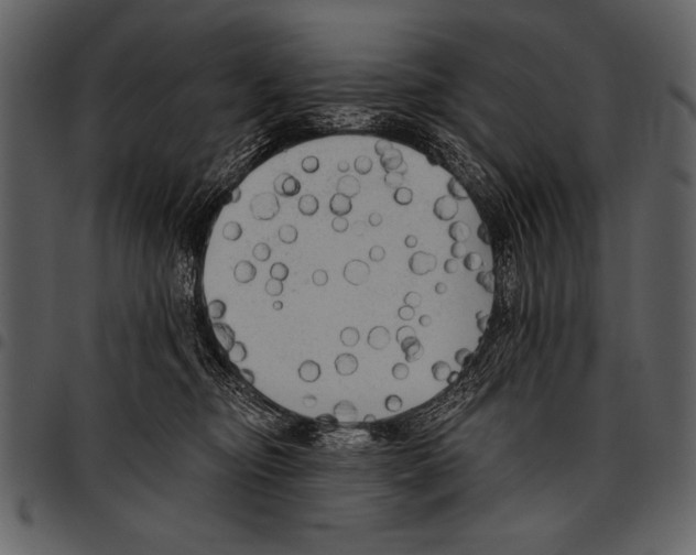 X0000097490374200803201536