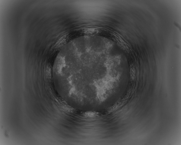 X0000097490375200803201536