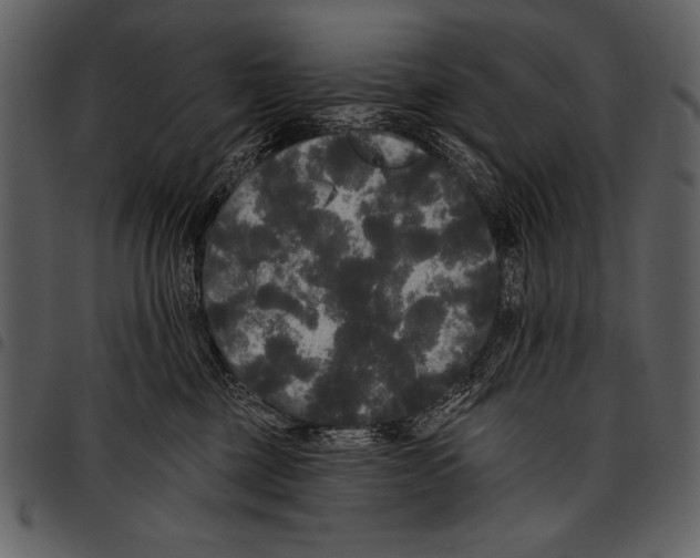 X0000097490377200803201536