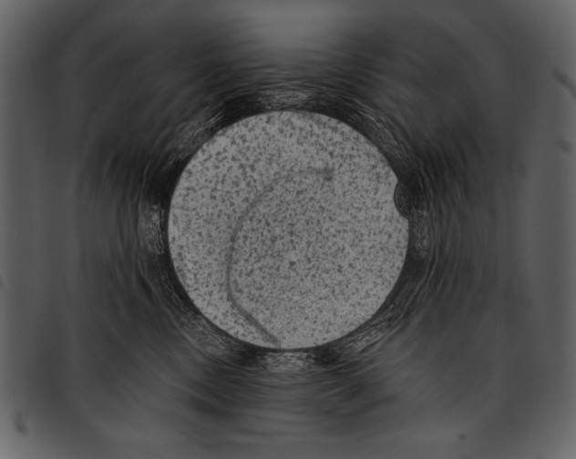 X0000097490378200803201536