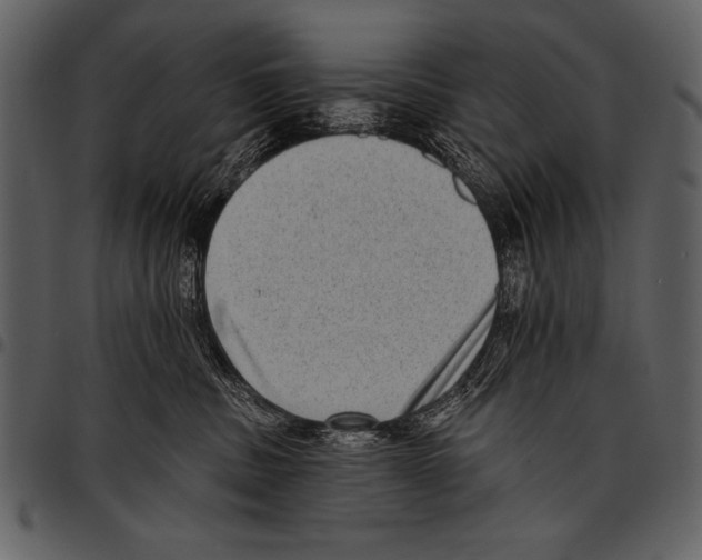 X0000097490379200803201536