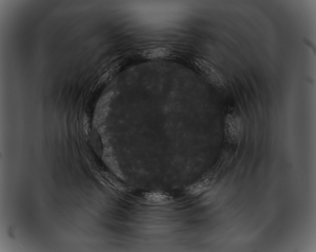 X0000097490380200803201536