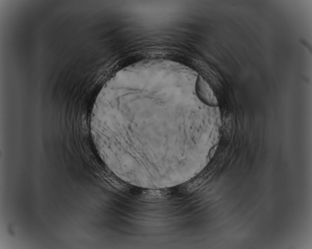 X0000097490381200803201536