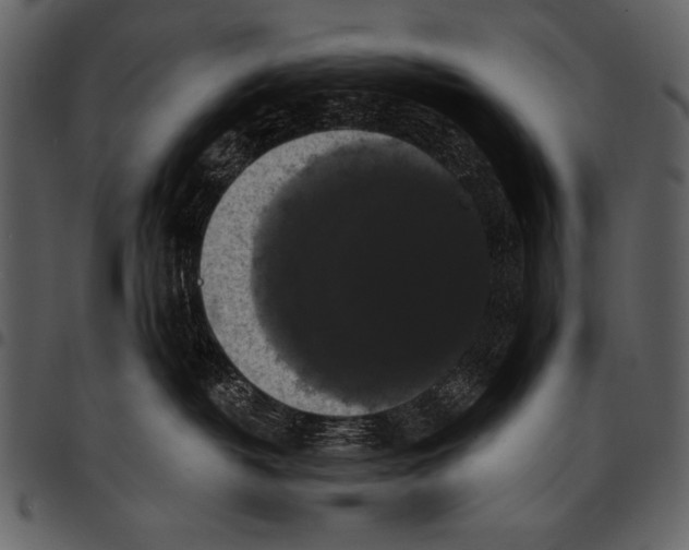 X0000097490382200803201536