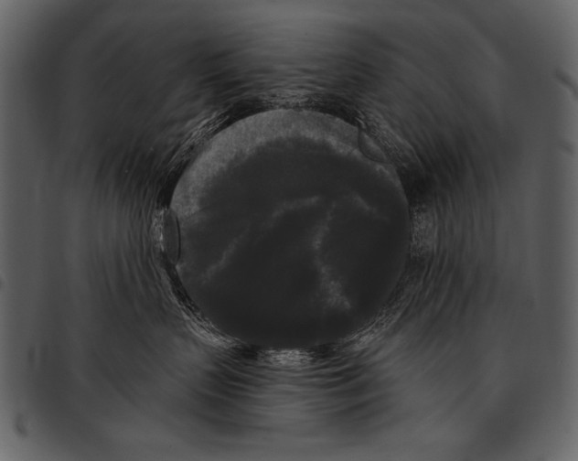 X0000097490383200803201536