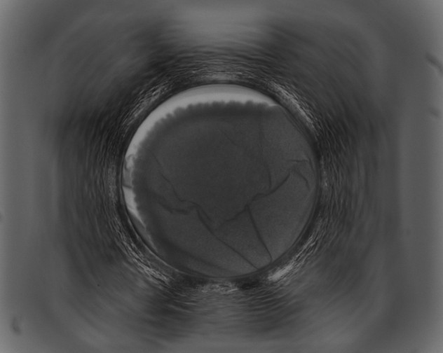 X0000097490386200803201535