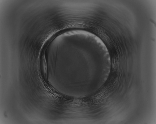 X0000097490388200803201535