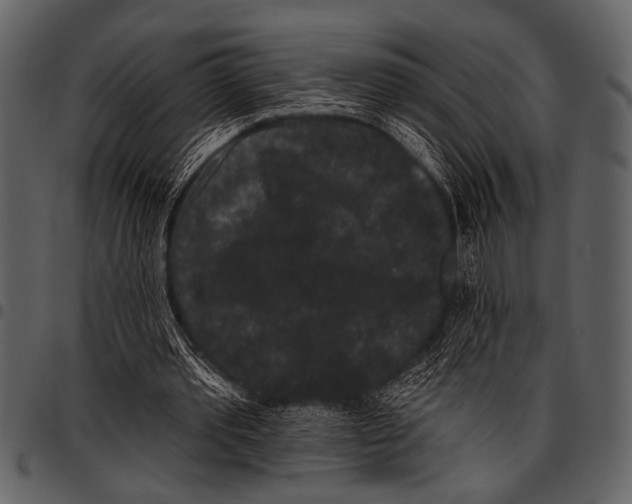 X0000097490389200803201535