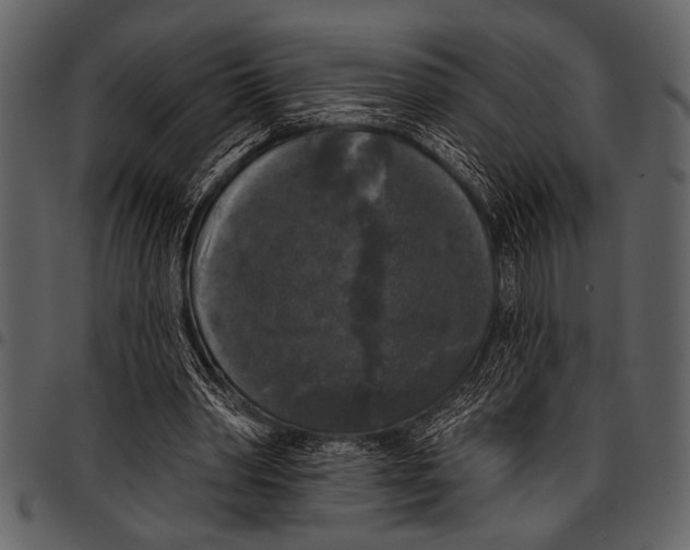 X0000097490390200803201535