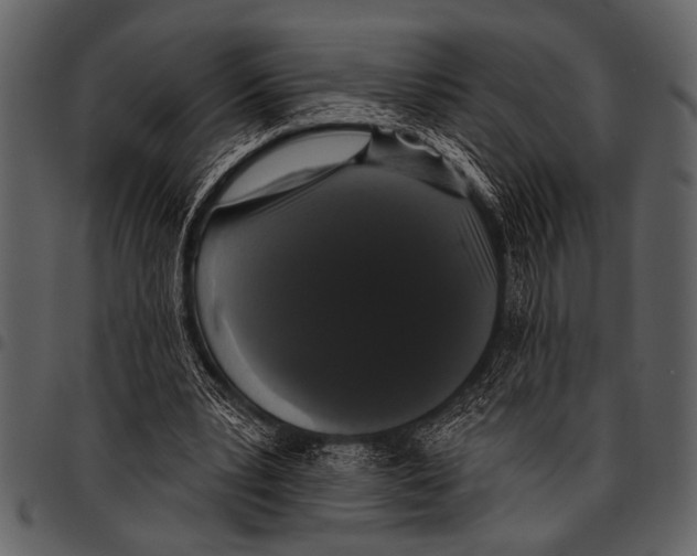 X0000097490391200803201535