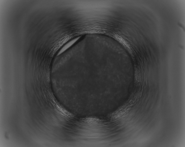 X0000097490393200803201535