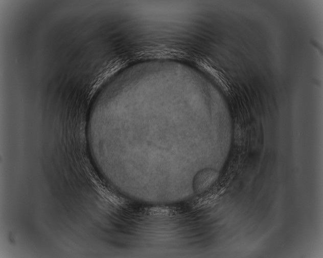 X0000097490394200803201535