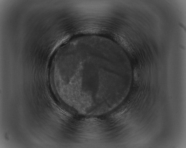 X0000097490396200803201535