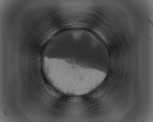 X0000097490398200803201535