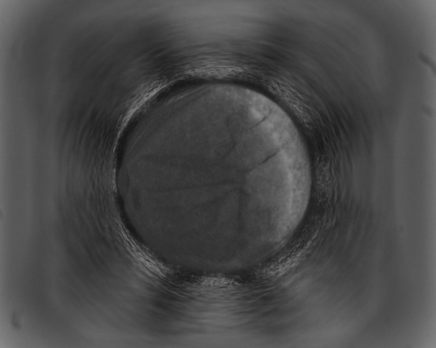 X0000097490399200803201535