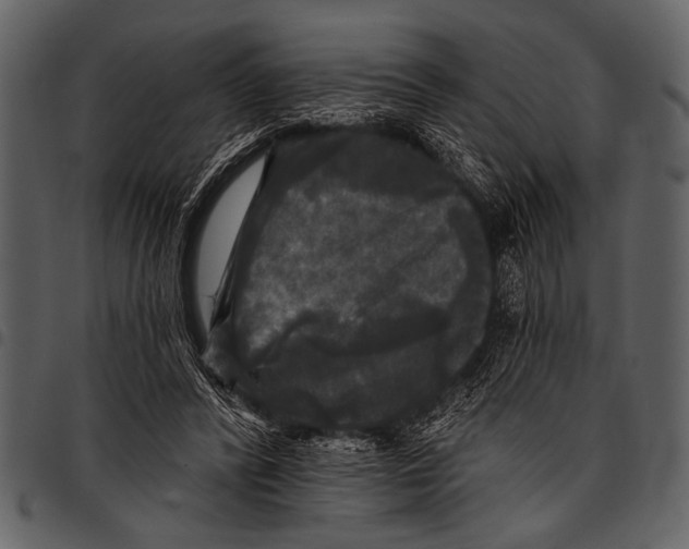 X0000097490400200803201535