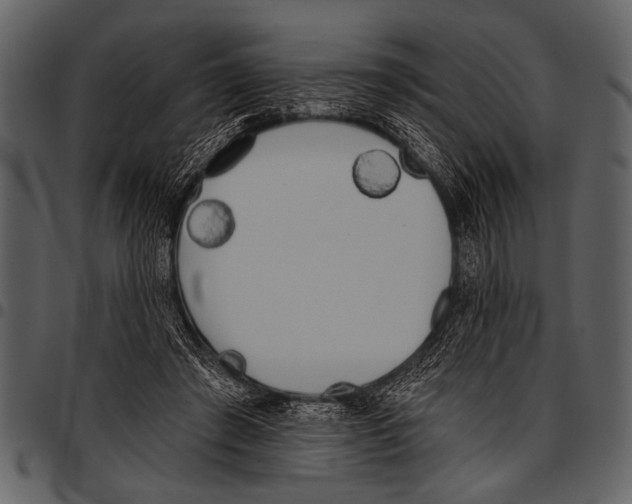 X0000097490401200803201535