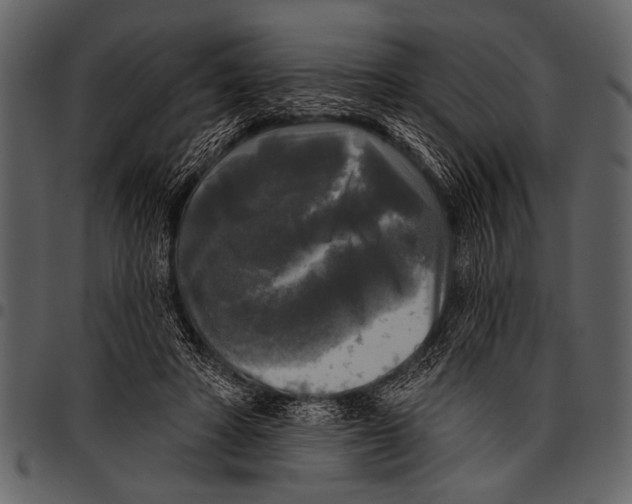 X0000097490402200803201535