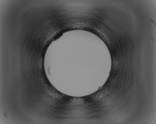 X0000097490403200803201535