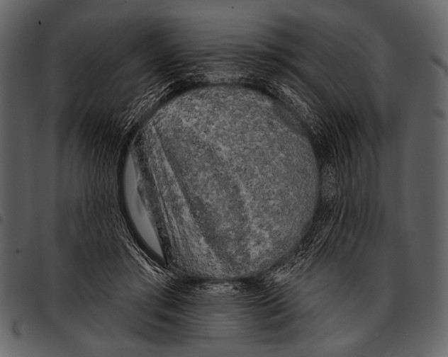 X0000097490405200803201535