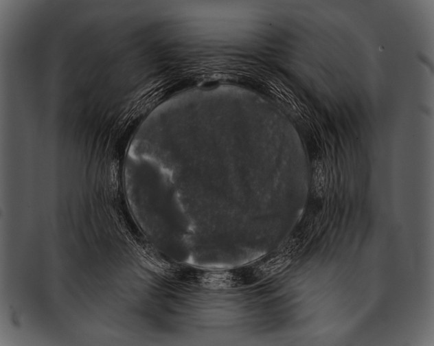 X0000097490410200803201535