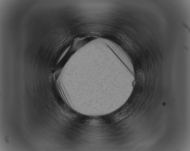 X0000097490412200803201535