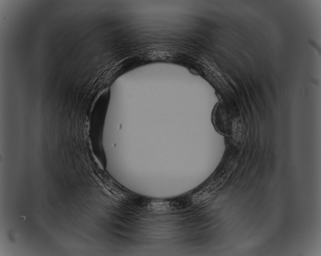 X0000097490413200803201535