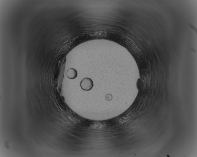 X0000097490416200803201535