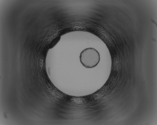 X0000097490417200803201535