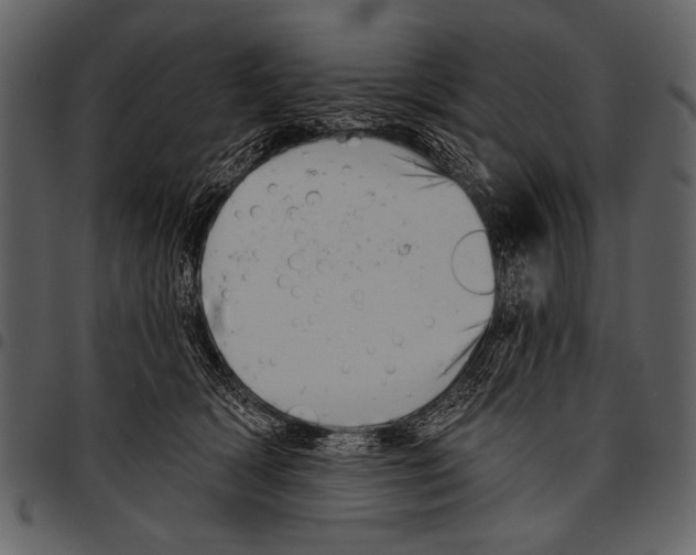 X0000097490418200803201535