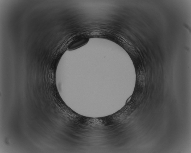 X0000097490421200803201535