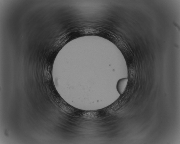 X0000097490422200803201535