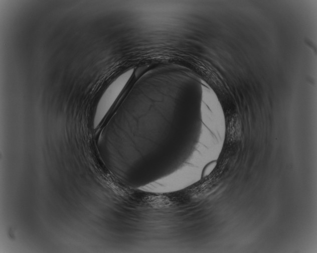 X0000097490424200803201535