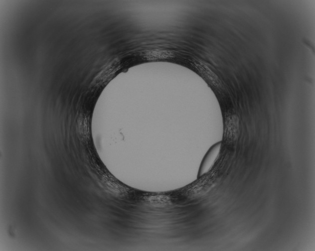 X0000097490426200803201535