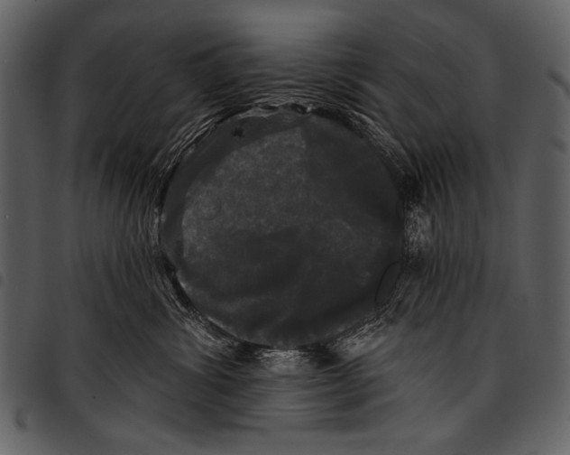 X0000097490428200803201535