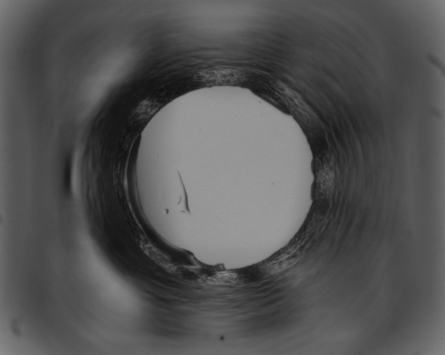 X0000097490429200803201535