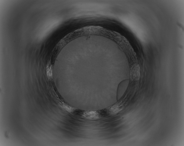 X0000097490431200803201535