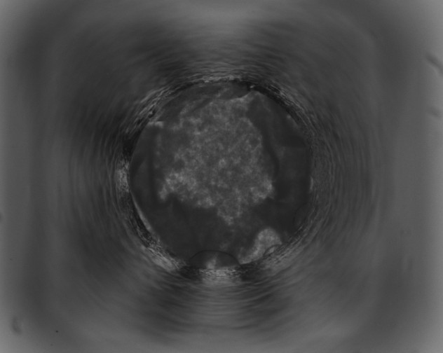 X0000097490432200803201535