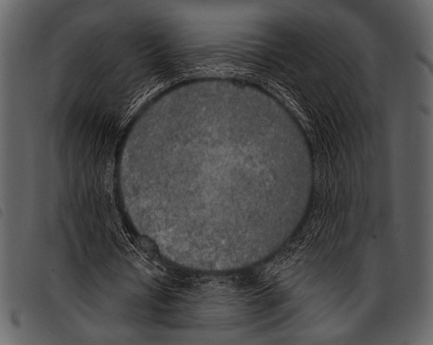 X0000097490434200803201534