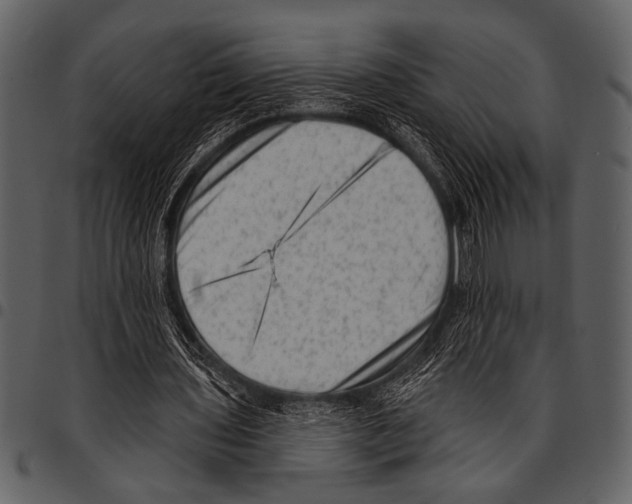 X0000097490435200803201534