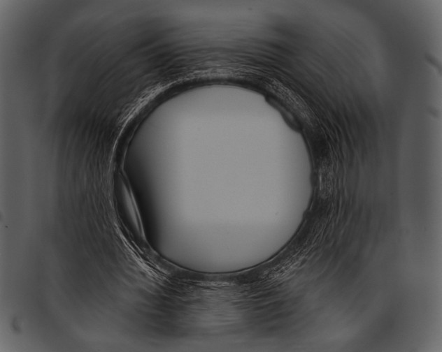 X0000097490436200803201534