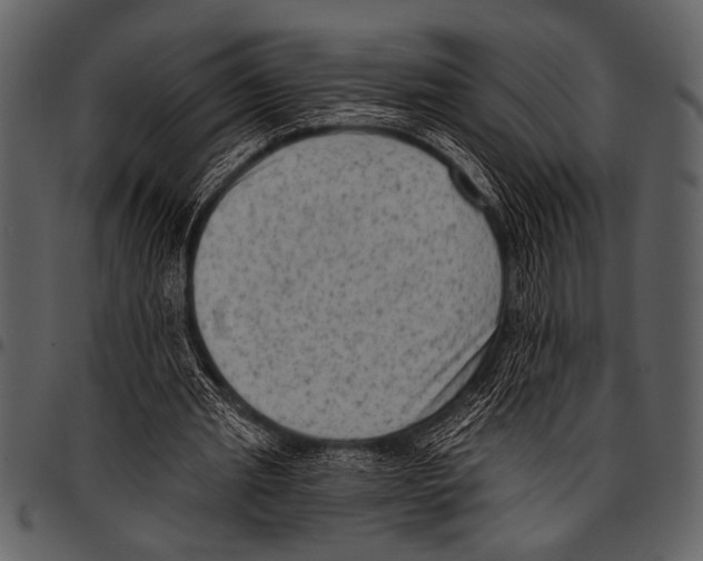 X0000097490437200803201534