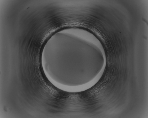 X0000097490438200803201534