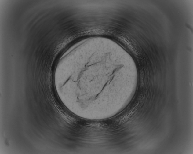 X0000097490439200803201534